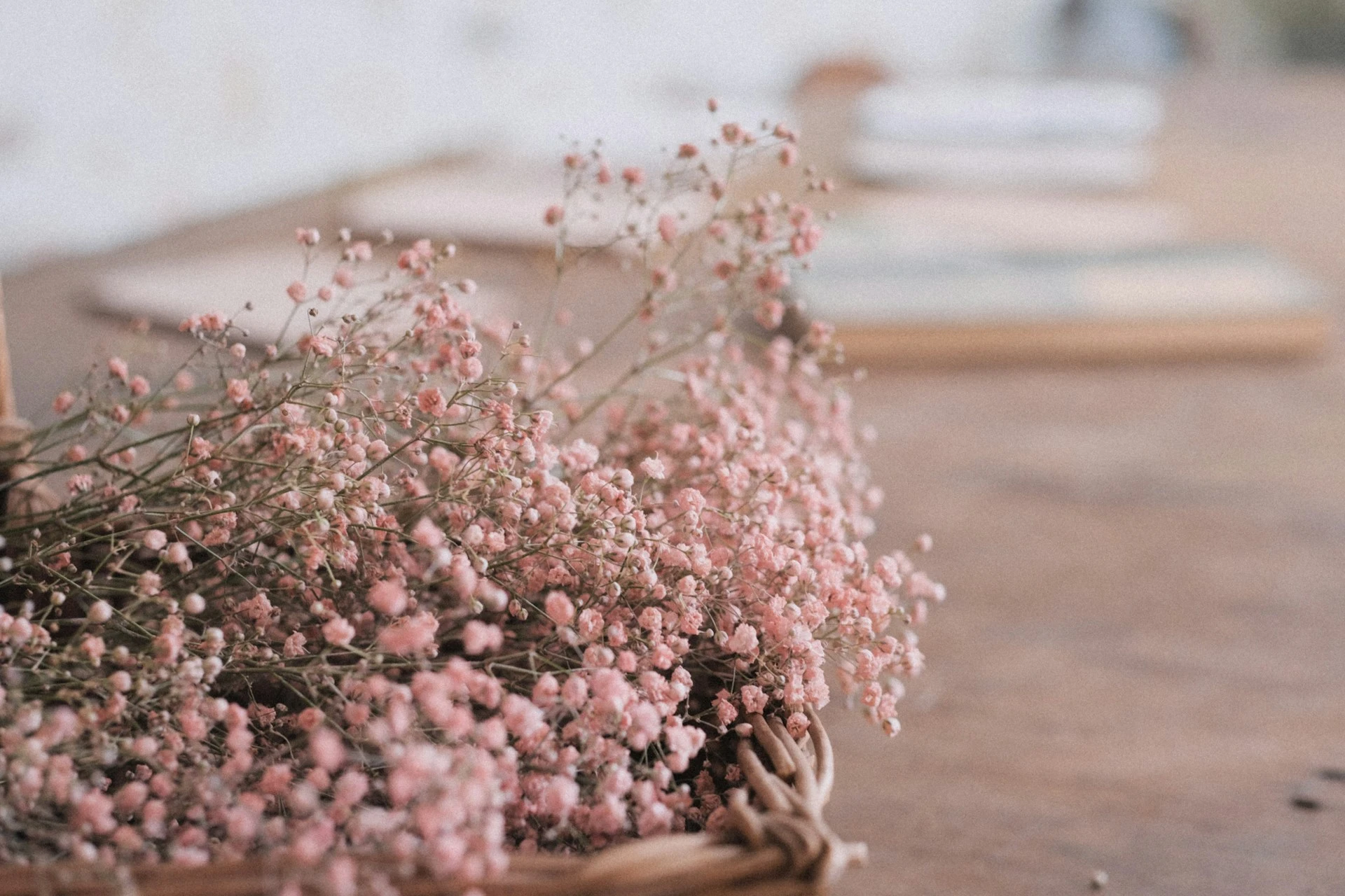 About Harmmony in Blooms